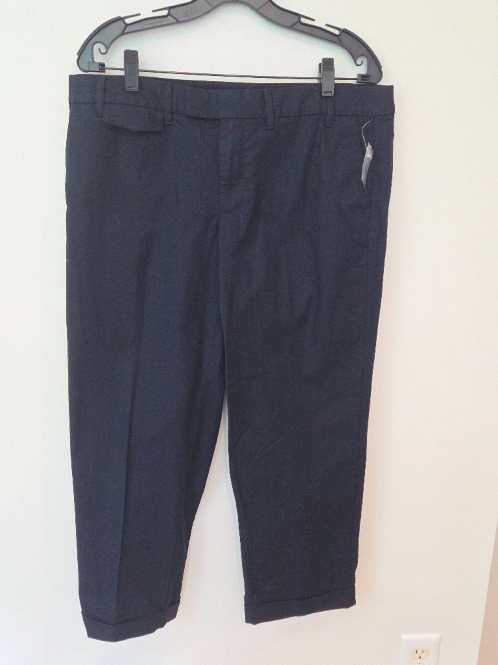 Gap Bi-Stretch Dark Navy Skinny Ankle Pants Size 12
